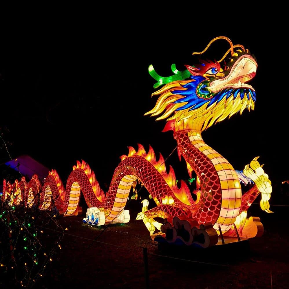 dragon-nouvel-an-chinois